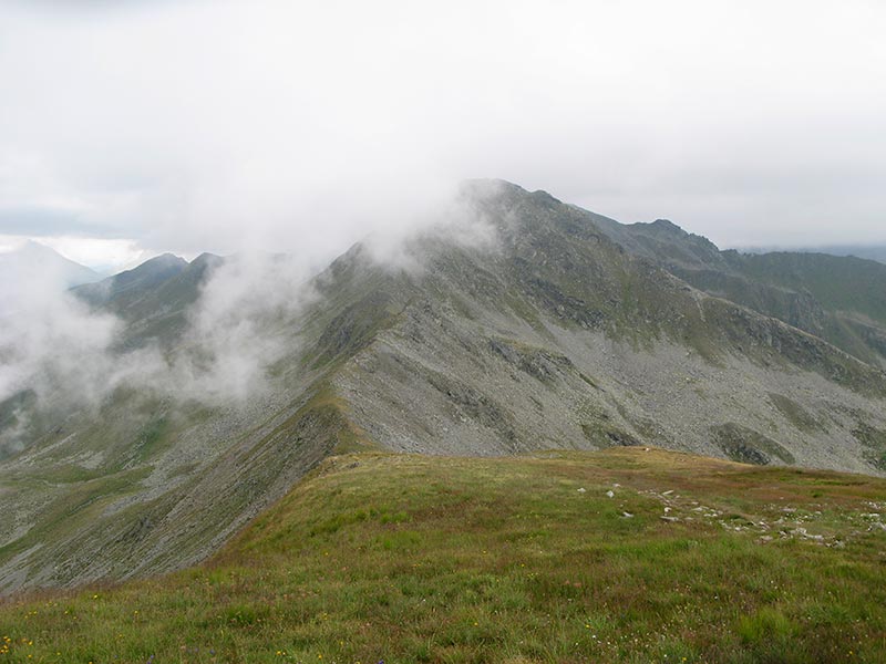 donnerstein